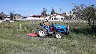 Preparar terreno para cultivar 1º passo capinar