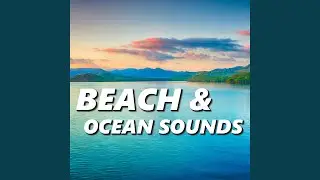 Essential Ocean Sounds