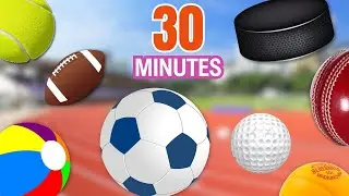 30 Minutes Learn SPORTS BALL For ALL | EASY ENGLISH | English Vocabulary | Types of Balls