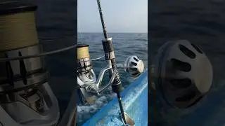 best light jigging setup #ultralightfishing #jigging #jiggingfishing