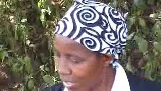 kihingicano