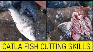 Catla fish cutting skills / Indian Fish Market / Professional fish cutting skills
