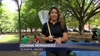 Chicago Park District Offers Summer Camp Program for Teens