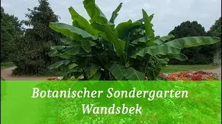 Im Botanischen Sondergarten in Hamburg Wandsbek
