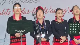 Mokokchung | Marepkong youths resolves vision 2050 & model green ward plan at Silver Jubilee