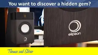 Synergy! This Elipson speaker and Electrocompaniet amplifier is a brand you should discover.