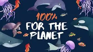 Sea Animals Climate Change Video in Blue White Illustrative Style
