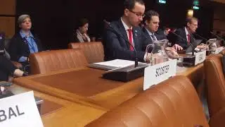 SGAC Co-Chair Statement at UN COPUOS STSC 2019