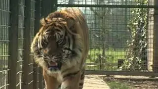 Wildlife Heritage Foundation