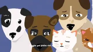 Do You See That Doggie In The Shelter?
