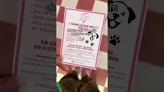 🐶🇪🇸 #barcelona #bcnfood #barcelona_spain #barcelonacity #barcelonatips