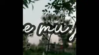 Tu hi Haqeeqat | cover by Parmina D Costa