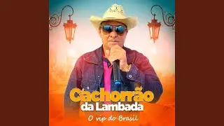 Lambada Do Milho