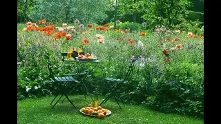 The gardens of Ton ter Linden in Ruinen 1997