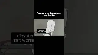 Programmer fixing game bugs be like...