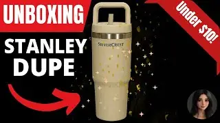 Joban Junction | Dupe or Disaster? Lidl&rsquo;s Stanley Lookalike Reviewed
