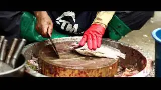 AAIFF 2011 Trailer