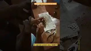 Implantation process in pearl farming. contact 7684909779#pearlfarm #pearl #pearlfarming #trending