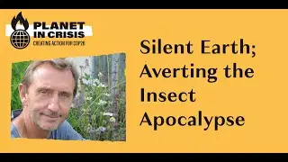 Silent Earth; Averting the Insect Apocalypse