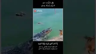Zandagi our mouth Allah ka hath ma hai 2024