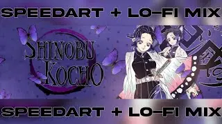 shinobu banner speedart / lofi mix to fall asleep to