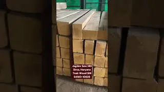 Premium quality teak wood wholesaler | Teak Wood Silli | JAGDEV SAW MILL TIMBER MERCHANT, SIRSA(HRY)
