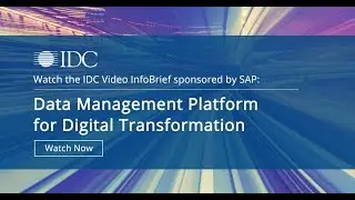 IDC: Data Management Platform for Digital Transformation