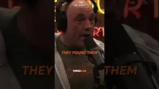 Joe Rogan On The Mysterious Orang Pendek Ape🤯