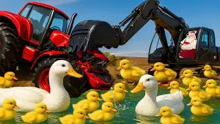 Duck Pond Construction Gone Right! 🦆💦 Farm Machines at Work | Fun Animation