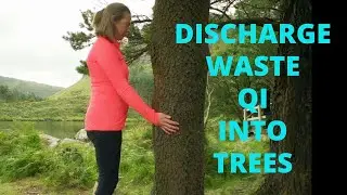 Discharge Waste Qi Into Trees Qigong Video Snippet | Qigong For Beginners