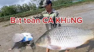 Xả nước bắt toàn CÁ KHỦNG 