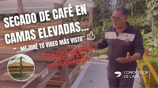 Desarrolla tu propia cama de secado de café siguiendo el manual de 