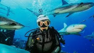 FILMING SHARKS WITH A $75,000 CAMERA SETUP