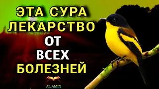 🔑 АЛЛАХ дает ИСЦЕЛЕНИЕ МНОГИМ БОЛЕЗНЯМ.✨💯