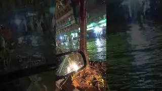 Pani