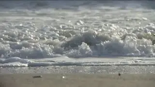 Report card ranks San Diego beaches based on water quality