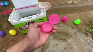 Adorable Pond Life 🐢🐟  Baby Turtle & Tiny Fish Catch