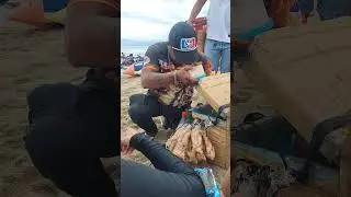 Balut in the Sea #shortsvideo #fypage #viralshorts #shorts #balut
