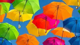 Insta Asmr - Umbrella (Visualizer)