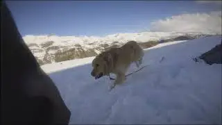 Snow chile