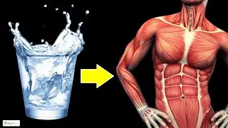 Ho bevuto SOLO ACQUA per 20 giorni, GUARDA cosa &egrave; successo al mio CORPO