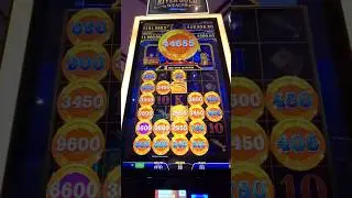 River Gold Wealth PAG&Oacute; INCRE&Iacute;BLE! 🛳️#casino #zitro #tragamonedas