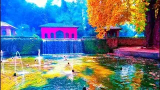 Achabal Mughal Garden 3 Walking Tour I Kashmir Autumn 2023 I Kashmir Series 23
