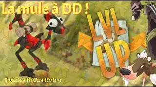 [Dofus Retro] Astuce Kamas -  La mule a DD