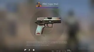 P250 | Cyber Shell ! FN ! SHOWCASE