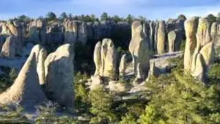 Los Gallitos de Chihuahua 