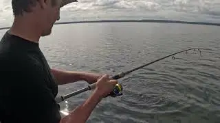 MegaJaws for SMB