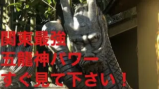 ※この動画が目に入ったらすぐ見て下さい！関東最強の五龍神パワーを受け取って下さい※田無神社※パワー神社仏閣巡り＃1