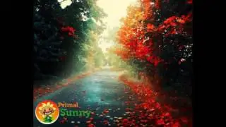 Ch-X - Primal Sunny