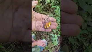 DETECTOR DE METAIS #detectordemetal #aventuras #metaldetecting #ca&ccedil;aaotesouro #metaldetector